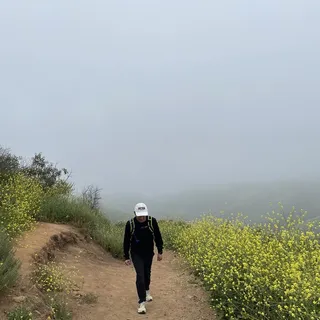 Angel L.