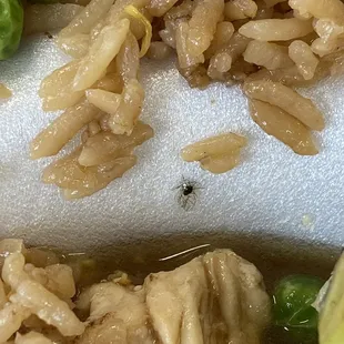 A bug with Habachi sauce.