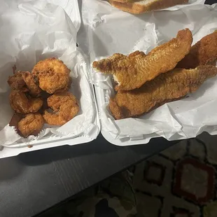 Fish and shrimp now take a good look