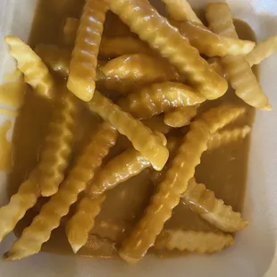 French Fries &amp; Gravy