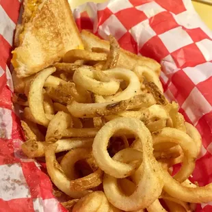 Grilled cheese kids meal (all fries!)