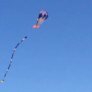 Here is a 30 ft long dragon kite that is a breeze to fly.