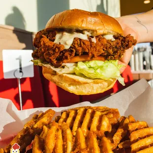 a chicken sandwich and fries