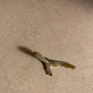 Part of a wishbone found in a tender.