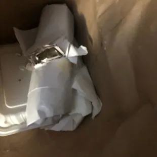 Disgusting rodent chewed up food