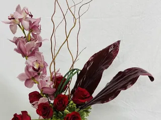 Petal Creations