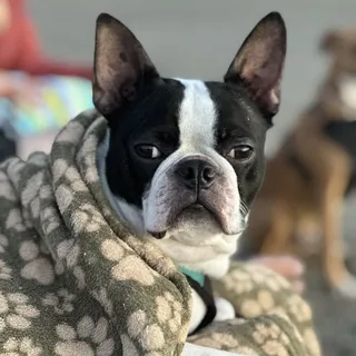 Trevor B.