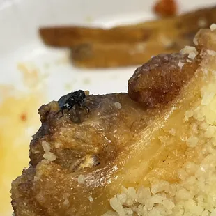 a piece of food on a plate