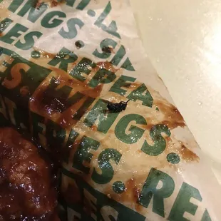 Insects in the sauce. Yum! It was free extra protein!