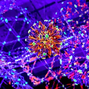 An extraordinary art destination that turns everyday moments into unforgettable memories with its dazzling displays.