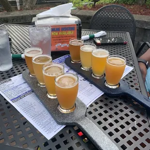 six glasses of beer on a table