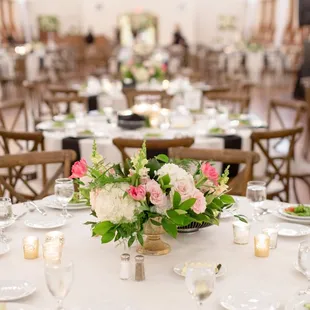 11.4.17 Red Cardinal Photography