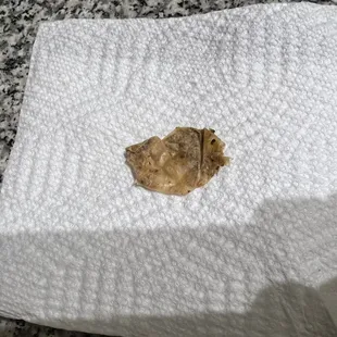 Cellophane wrapper the manager said fell in when the cook was moving too fast