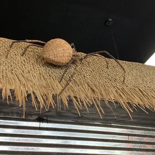 Interesting choice of decorations