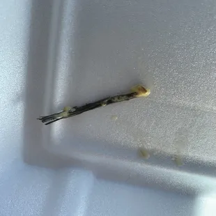 This was in my omelet. I threw it out.