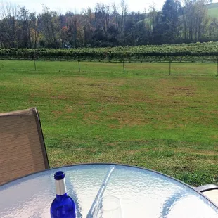 A relaxing afternoon out back on our patio