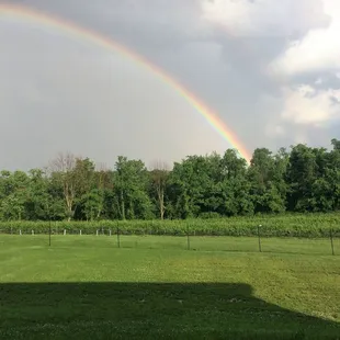 Sunshine after the rain... and a rainbow!
