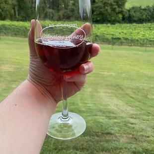 Strawberry wine with a beautiful backdrop