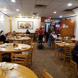 ramen and noodles, interior