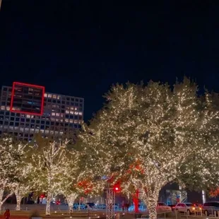 Windpear at Christmas Time is just magical!