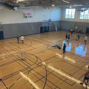 Pickle ball