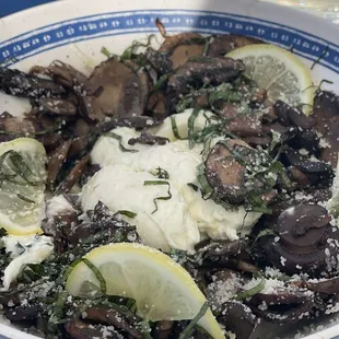 Mushroom wild burrata