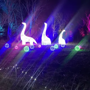 Winter Illuminations