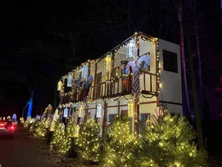 The Winter Woods Spectacular