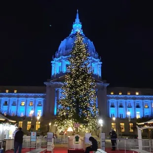 Christmas Tree in front of City Hall as viewed from the ice rink