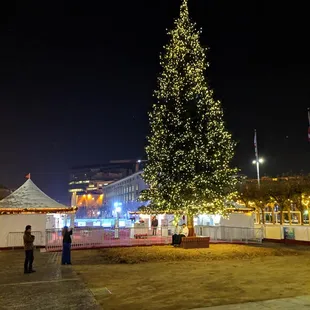 Christmas Tree in front of the Ice Rink entrance
