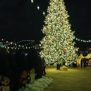 Huge beautiful Christmas tree! Huge seating area for kids and parents to watch jumbotron, a cute elf cartoon.