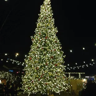 Lovely Christmas tree and light display.