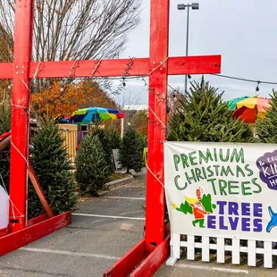 From King of Pops, pick out your family's Christmas tree &amp; even schedule their elves to deliver it to your home!