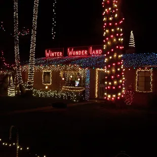 Winterhaven Festival of Lights!