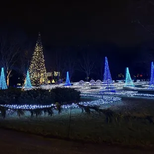 Winterlights 2024