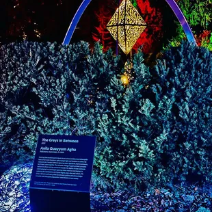 Light up diamond sculpture