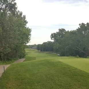 Rolling hills of the fairway