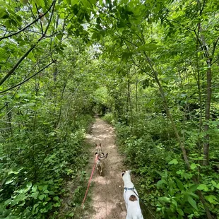Winton Woods