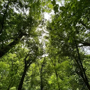 Kingfisher Trail
