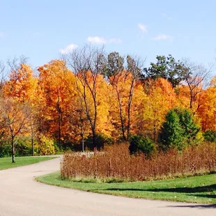 This is a great place to take a walk in any season but Fall is something special