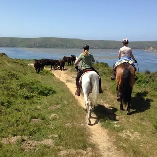 Barn Trip to Pt. Reyes