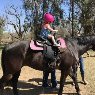 My daughters first lesson on Lexy.