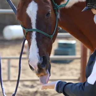 Riding lessons with Jenna
