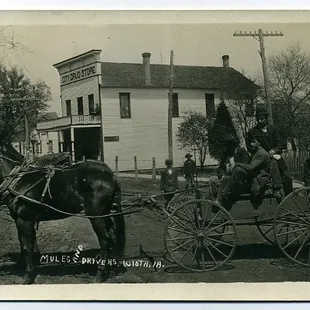 horse drawn carriage