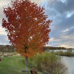 Outdoor chairs with water view