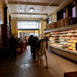 a cow walking down the aisle