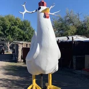 Giant Chicken