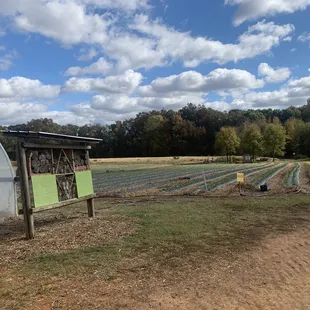 a man standing in front of a greenhouse