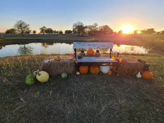 Cobbins Family Pumpkin Patch