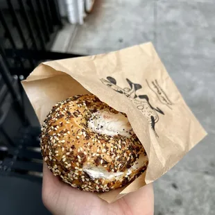 everything bagel with smoked salmon shmear